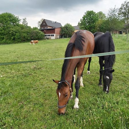 Glamping-Paradies Am Dengler Hof Hohenberg an der Eger 外观 照片