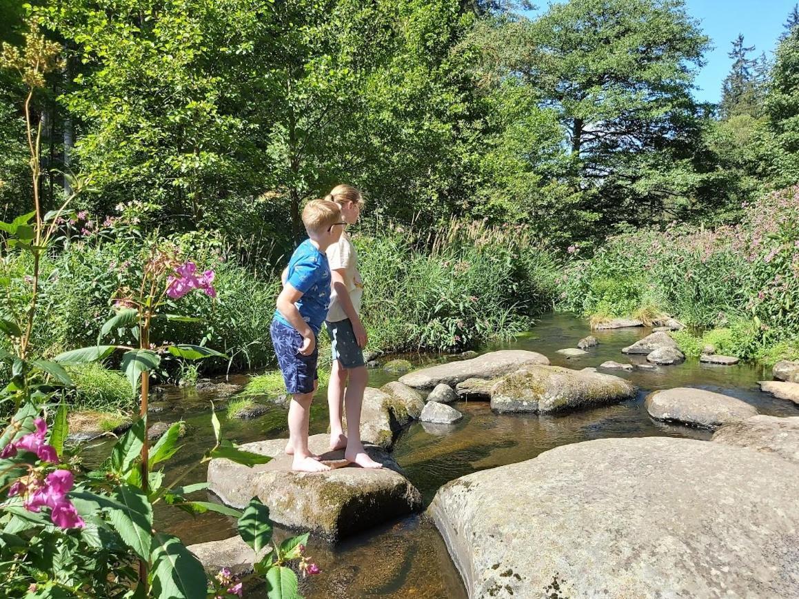 Glamping-Paradies Am Dengler Hof Hohenberg an der Eger 外观 照片